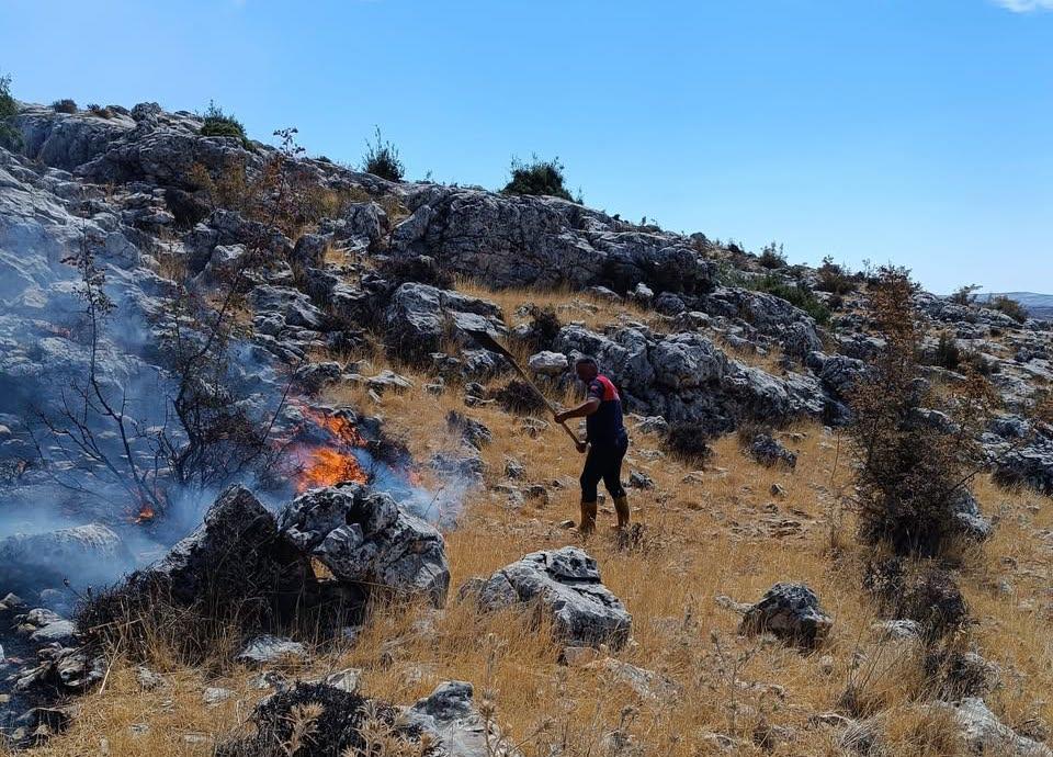 Mesire alanında korkutan yangın
