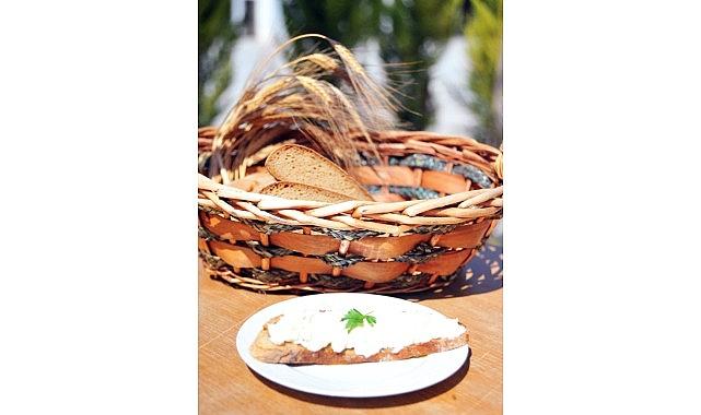 Ata Ekmeği ve Armola Şenliği, Karakılçık Rotası Lansmanıyla Ulamış'ta!