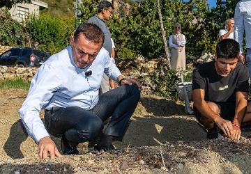 Yenişehir Belediyesinin hibe ettiği safran soğanları toprakla buluştu