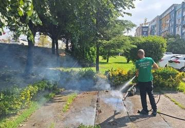 Vektörle mücadeleye güçlü destek