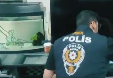 Muvazaalı gayrimenkul satışı yapan organize suç örgütü çökertildi - Videolu Haber