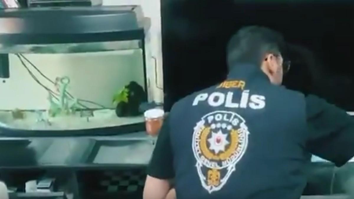 Muvazaalı gayrimenkul satışı yapan organize suç örgütü çökertildi - Videolu Haber