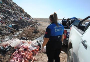 Büyükşehir Zabıta Ekipleri Tehlikeli Gıda Ürünlerinin Sofralara Ulaşmasını Önledi