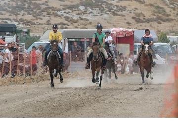 Türkiye'nin en başarılı atları Menemen'de yarışacak