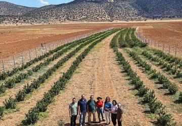 Büyükşehir'in hibeleri üreticinin yüzünü güldürdü