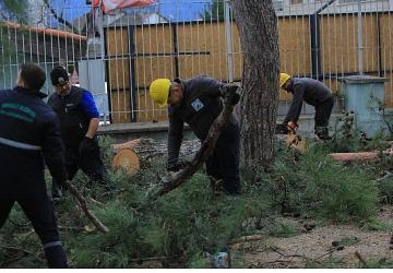 Osmangazi Belediyesi'nden Lodosa Karşı Etkin Müdahale