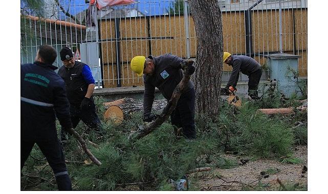 Osmangazi Belediyesi'nden Lodosa Karşı Etkin Müdahale