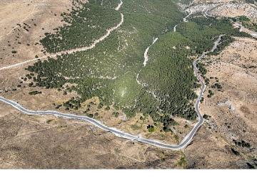 Selçuklu Belediyesi Ulaşımı Rahatlattı