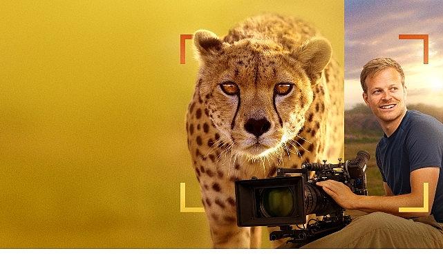 'Bertie Gregory Çitalarla Yüz Yüze', 3 Ocak Cumartesi 20.00'de National Geographic WILD Ekranlarında!