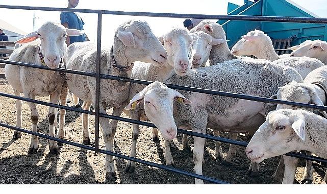 İnegöl Belediyesi İle İlçeler Arası “Tarım Ve Hayvancılıkta Güç Birliği"