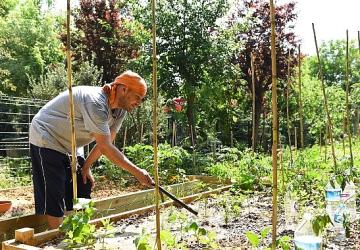 Kadıköy Bostanları'nda Kış Dönemi İçin Kayıtlar Başladı