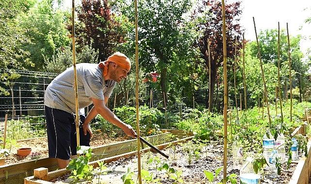 Kadıköy Bostanları'nda Kış Dönemi İçin Kayıtlar Başladı