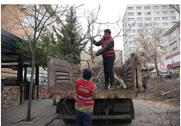 Keçiören'de Budama Çalışmasıyla Yeşil Örtü Korunuyor
