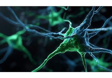 Kaspersky, Windows Server sistemlerini hedef alan PassiveNeuron siber casusluk operasyonunu ortaya çıkardı