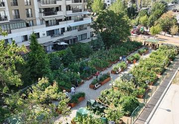 Başkan Güner Niyet Mektubunu İmzaladı