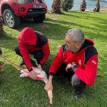 İzmir İtfaiyesi ayağına misina dolanan flamingoyu kurtardı