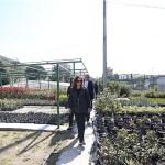 Karşıyaka Belediyesi üretiyor, parklar çiçek açıyor