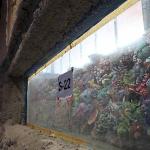 30 farklı akvaryum eşsiz bir gezi yaşatacak