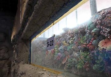 30 farklı akvaryum eşsiz bir gezi yaşatacak