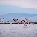 Doğa, kültür ve lezzet tutkunları yarıyıl tatilinde bu turlarda buluşacak