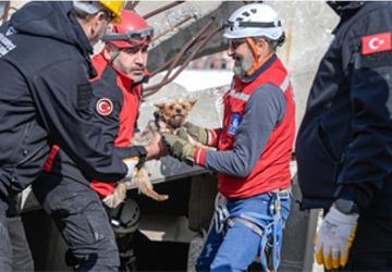 Afetzede hayvanlar için ilçelere arama kurtarma eğitimi