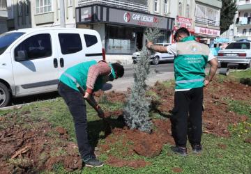 Haliliye’de yaz öncesi parklarda bakım çalışmaları devam ediyor