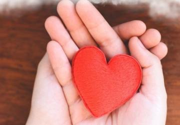 Adıyaman Aile ve Sosyal Hizmetler İl Müdürlüğü 2025 yılı destekleri