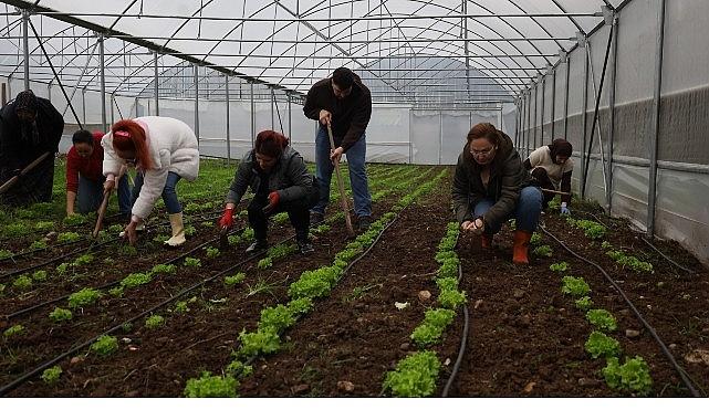 Kadın ve gençler, Büyükşehir'le tarıma kazandırılıyor