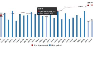 Dış Ticaret Endeksleri, Şubat 2026