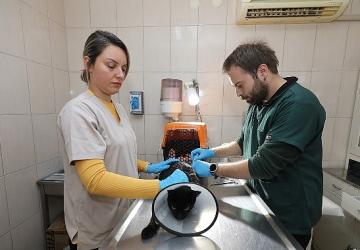 Gaziemir Belediyesi 6 bin 222 can dostun yaşamına dokundu