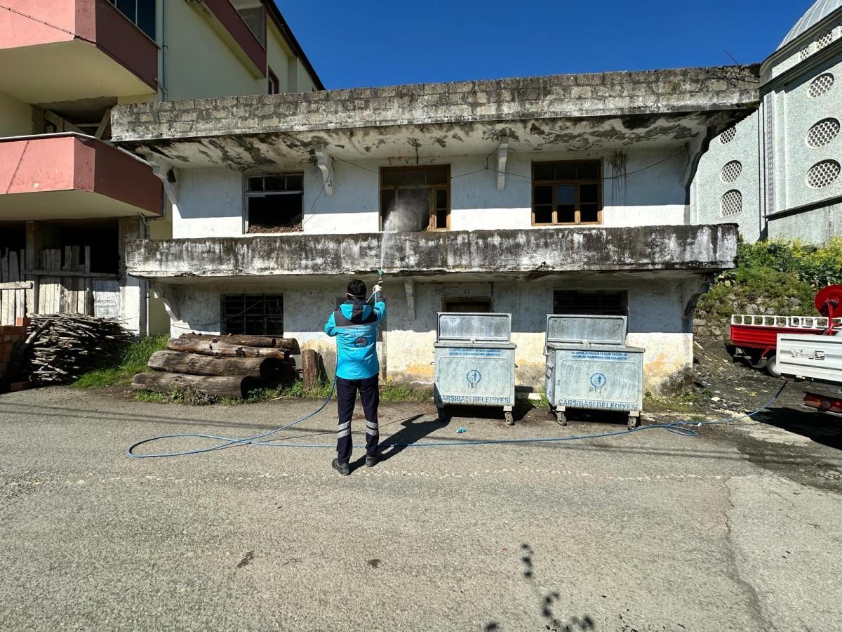 Trabzon’da Kahverengi Kokarca Mücadelesine Büyükşehir Desteği