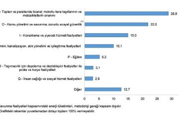 Hizmet-Ticaret Sektörü Nihai Enerji Tüketim İstatistikleri, 2024