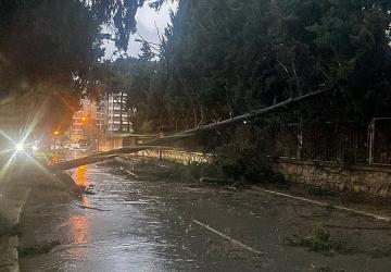 Buca Belediyesi ekiplerinin fırtına ve yağış mesaisi