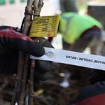 Beydağlı üreticiye çifte destek