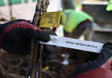 Beydağlı üreticiye çifte destek