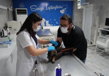 Adıyaman Belediyesi 2025’te Patibulansla sahadaydı: Binlerce hayvan şifa buldu