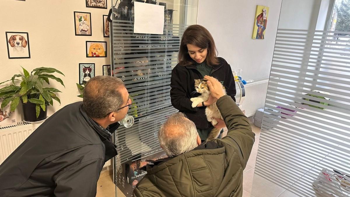 Adıyaman’da kimliği belirsiz kişilerin şiddetine uğrayan kedi ameliyatla kurtarıldı