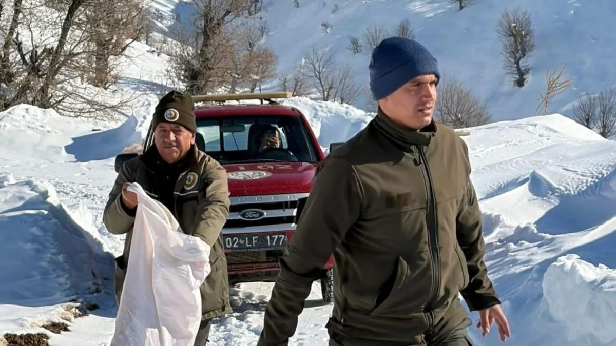 Adıyaman’da yaban hayvanları için kış dönemi yemleme çalışması