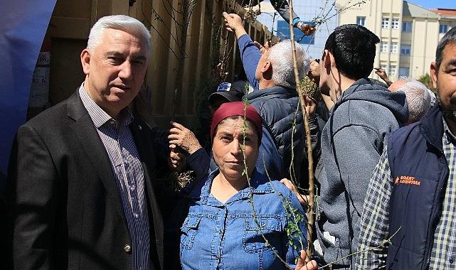 Bergama'dan Üretime Büyük Destek: Ahlat Ağaçları Aşılandı, Binlerce Fidan Dağıtıldı