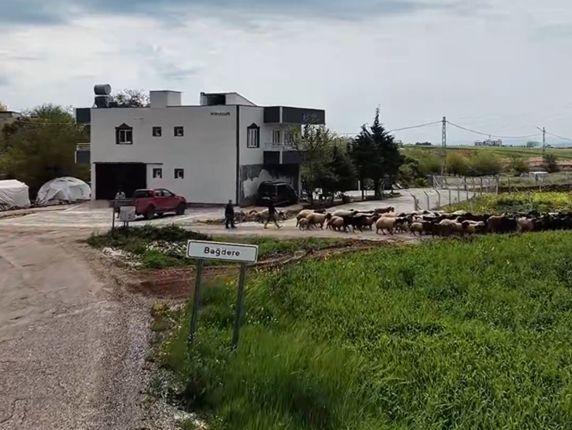 Adıyaman İl Özel İdaresi Çalışmalarını Aralıksız Sürdürüyor - Videolu Haber
