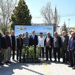 Başkan Altay: “Bu Yıl Çiftçimize 31.420 Meyve Fidanı Desteğinde Bulunduk"