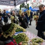 8. Karaburun Nergis Festivali başladı