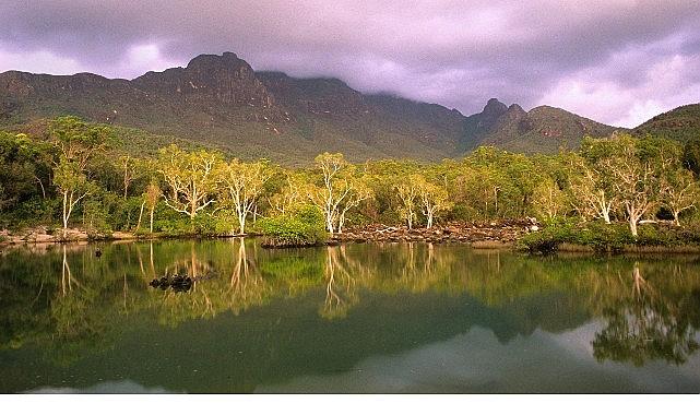 'Avustralya'nın Vahşi Ormanları', 10 Ocak Cumartesi 20.00'de National Geographic WILD Ekranlarında!