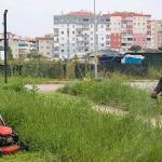Buca'da bahar temizliği