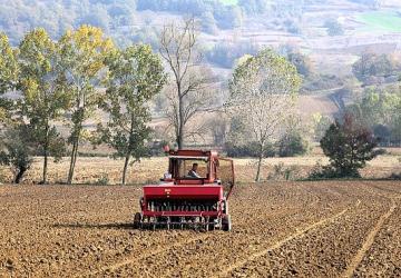 Büyükşehir'in hibeli tohumları toprakla buluştu