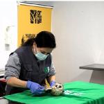 Bu merkez yaban hayvanlarına umut oluyor