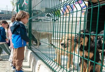 Bakioğlu Can Dostlarımız Yaşam Merkezi öğrencileri ağırlıyor