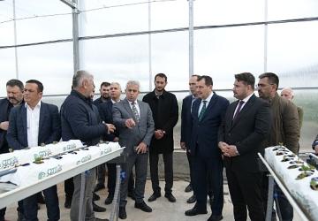 Soğucak Termal Serası'nda Üretim Başladı