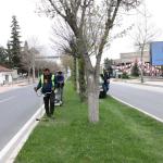 Elazığ’da yeşil alanlarda bakım ve temizlik çalışmaları sürüyor