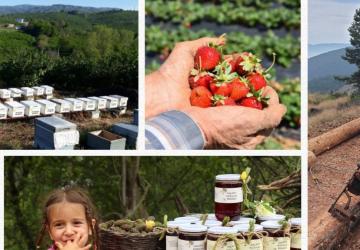 Tarım ve Orman Bakanlığı’ndan orman köylüsüne güçlü destek